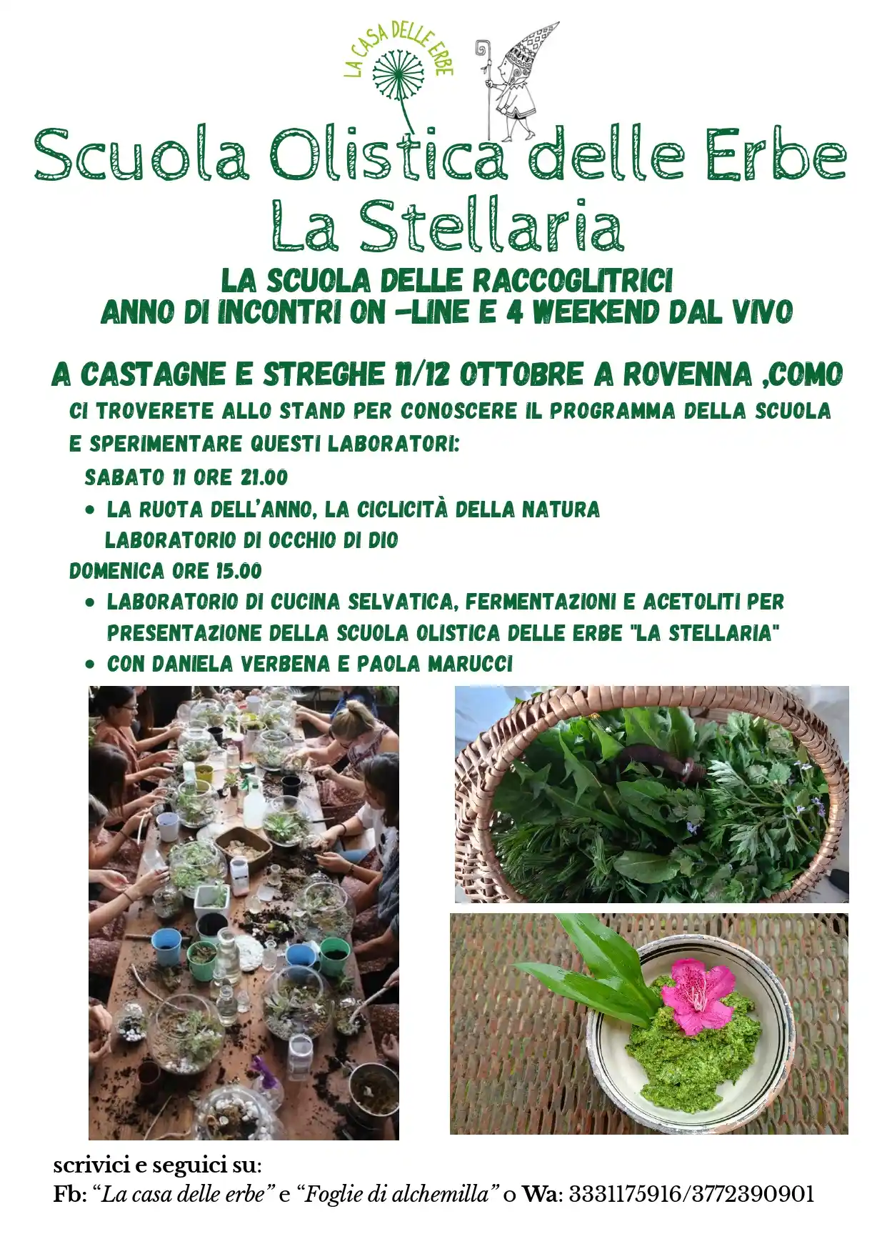 Locandina Scuola Olistica delle Erbe La Stellaria